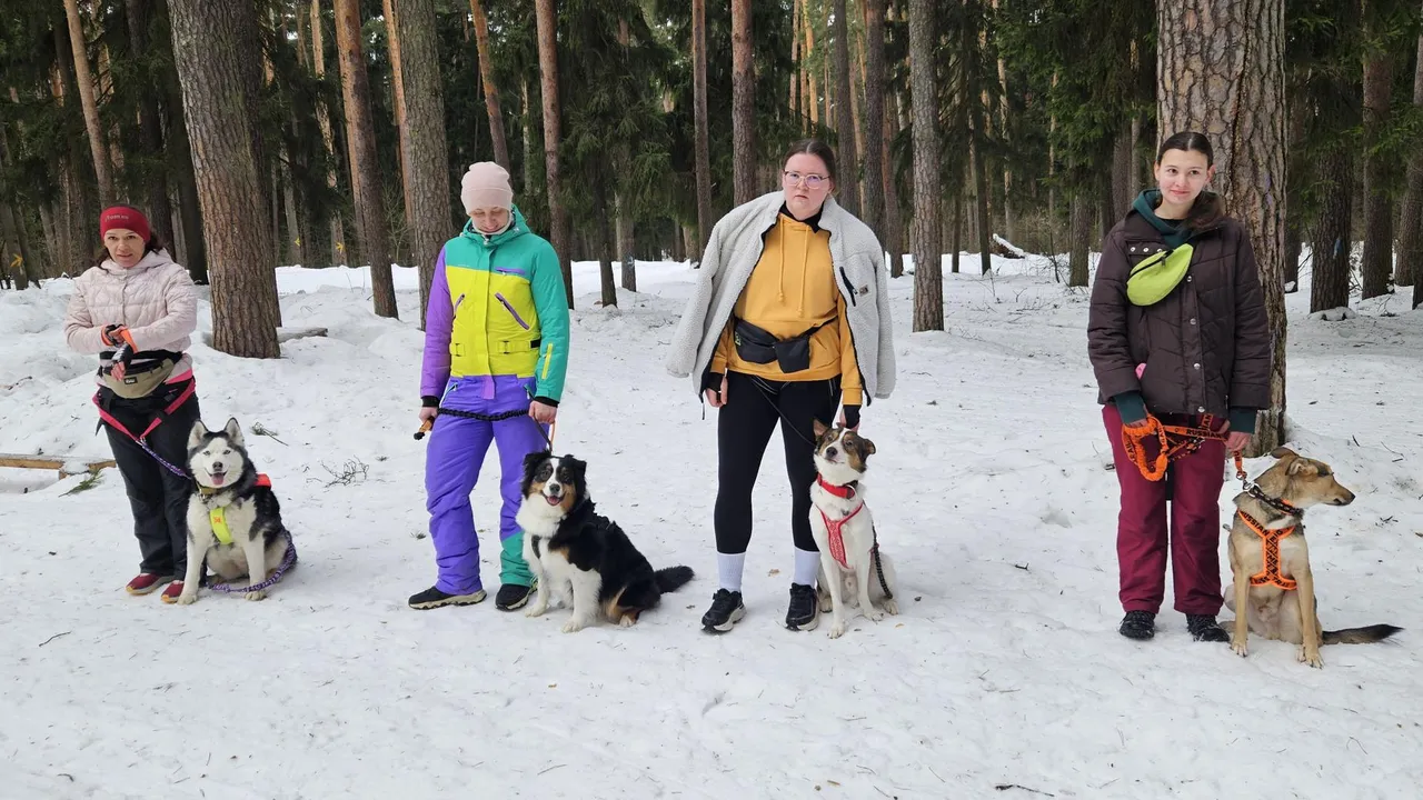 МедиаБанк Подмосковья/Ольга Вельшикаева