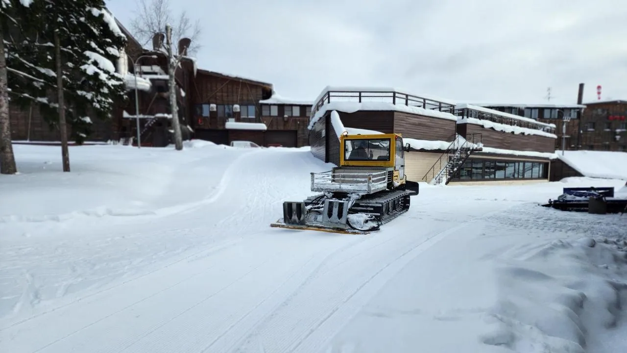 REGIONS/Елена Шумакова