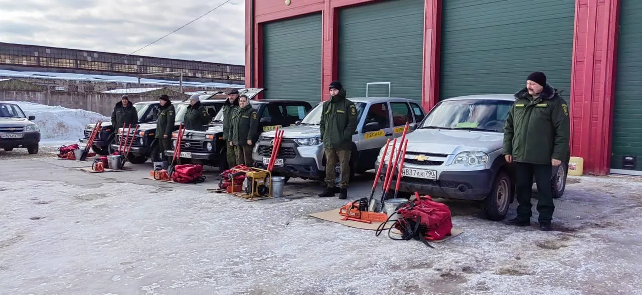 Фото: Ступинский филиал ГКУ МО «Мособллес»