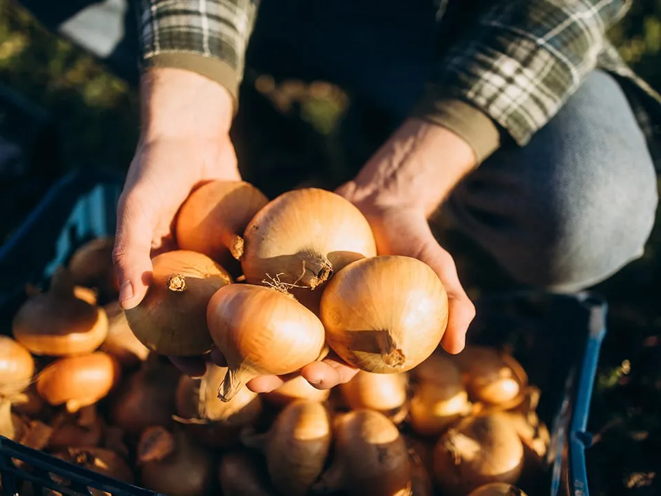 Фото: istockphoto.com