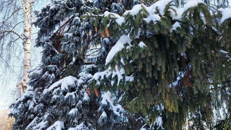 Фото: пресс-служба администрации м.о. Луховицы