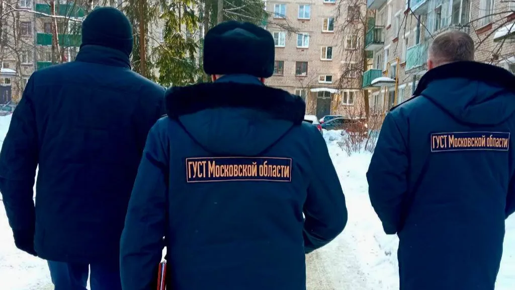 фото: ГУСТ МО