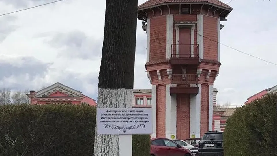 Фото: vk.com/Дмитровское отделение МОО ВООПИиК