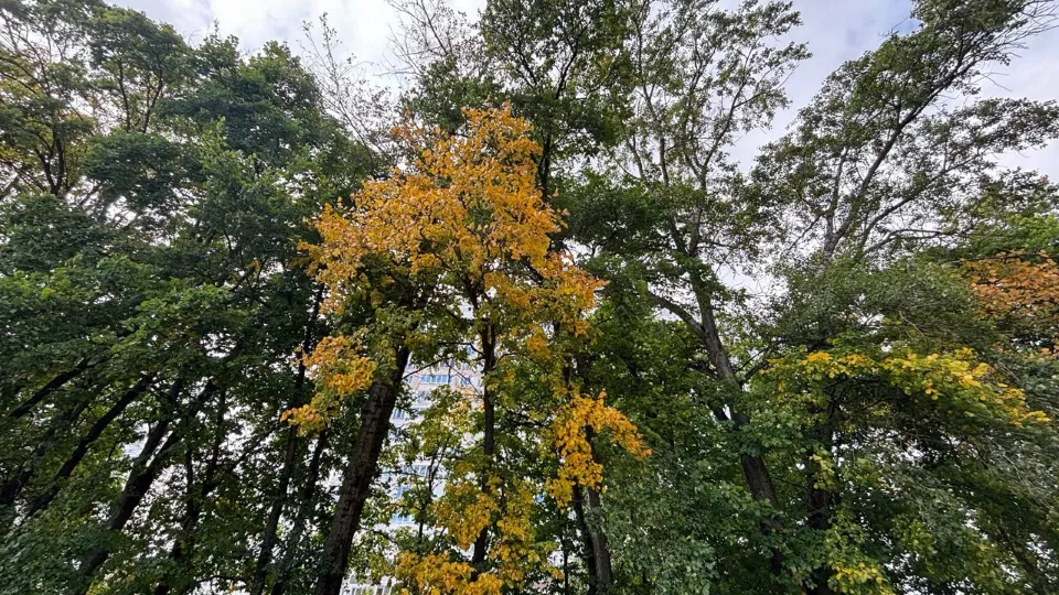 Фото: REGIONS/Анастасия Завертайло