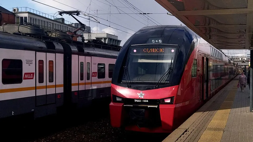 Фото: сommons.wikimedia/Artur Random