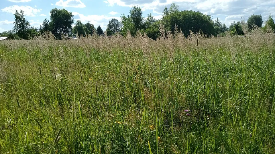 Фото: Единый портал торгов Московской области