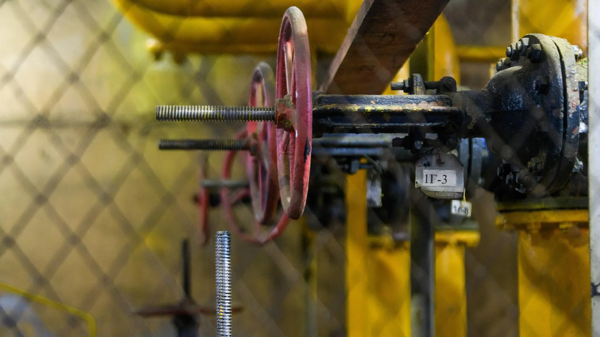 Ilya Moskovets/URA.RU