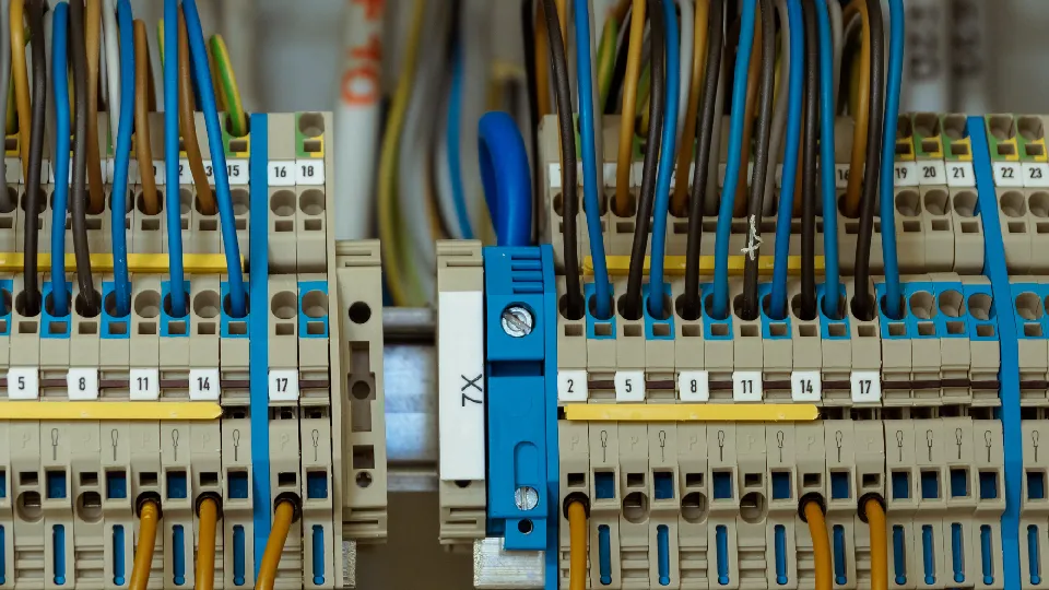 Фото: freepik.com