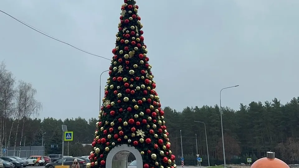 Фото: МедиаБанк Подмосковья/Эдуард Стратонов