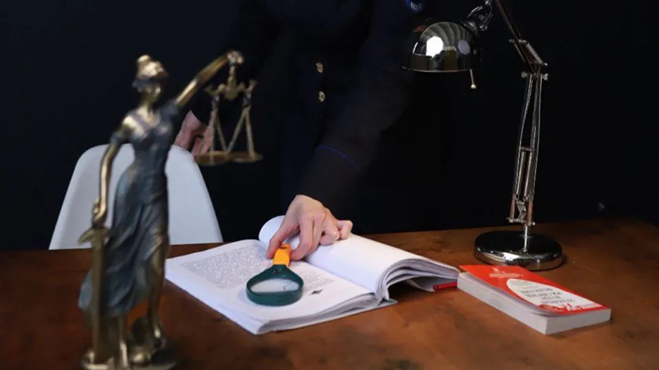 Фото: пресс-служба МВД