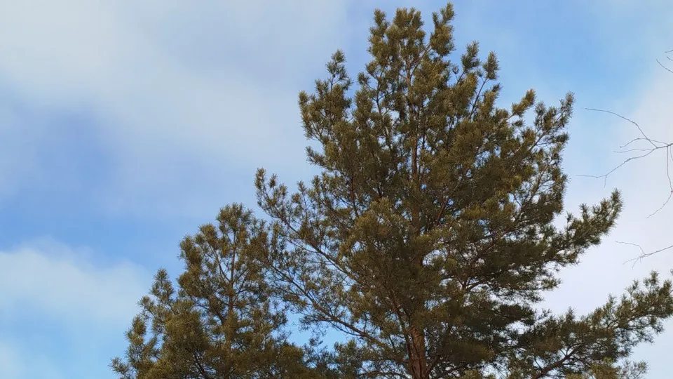 Фото: REGIONS/Юлия Куделькина