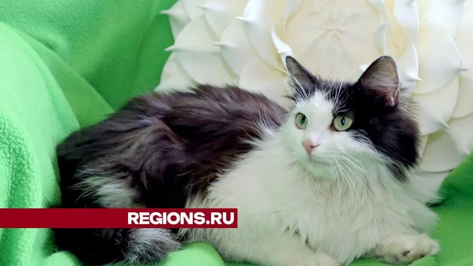 Фото: Александр Дрожжин