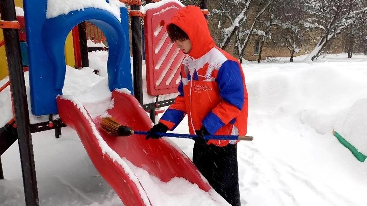 «Волонтеры Подмосковья»