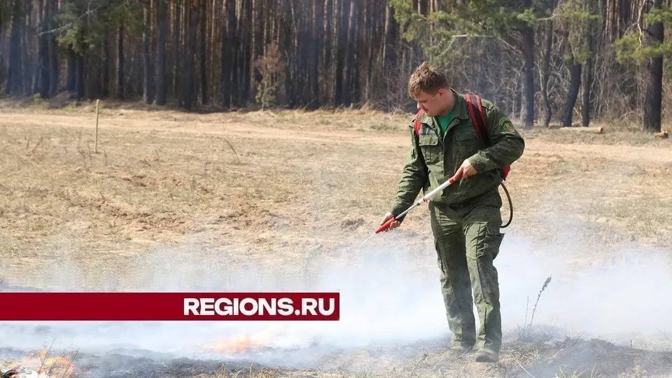 Фото: REGIONS/Александр Дрожжин