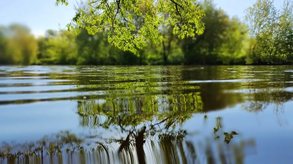 Фото: REGIONS/Алексей Селиверстов