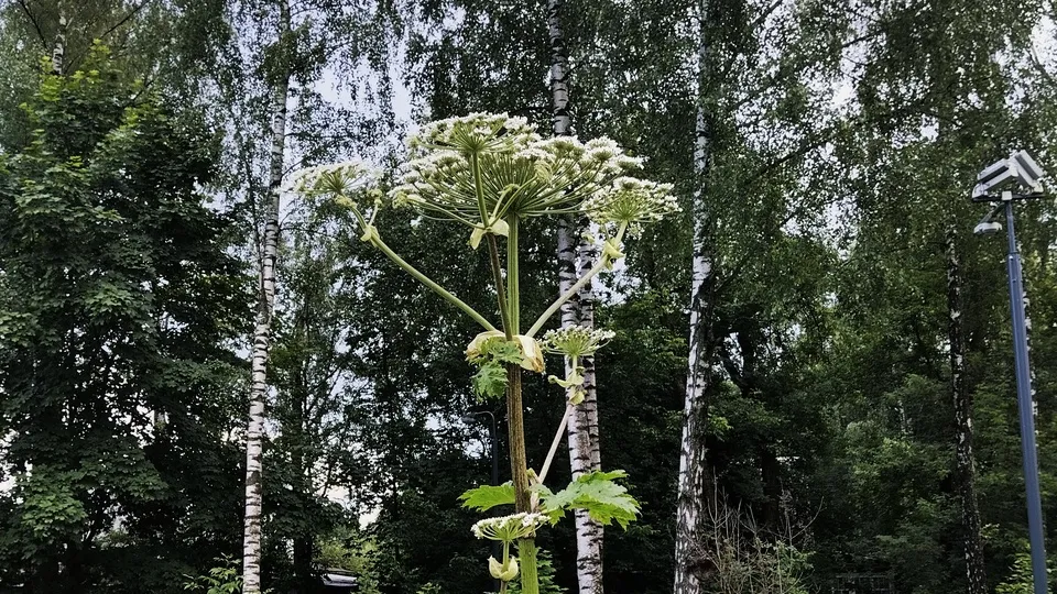 Фото: Ксения Пашуто