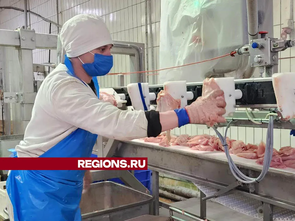 Фото: Медиабанк Подмосковья