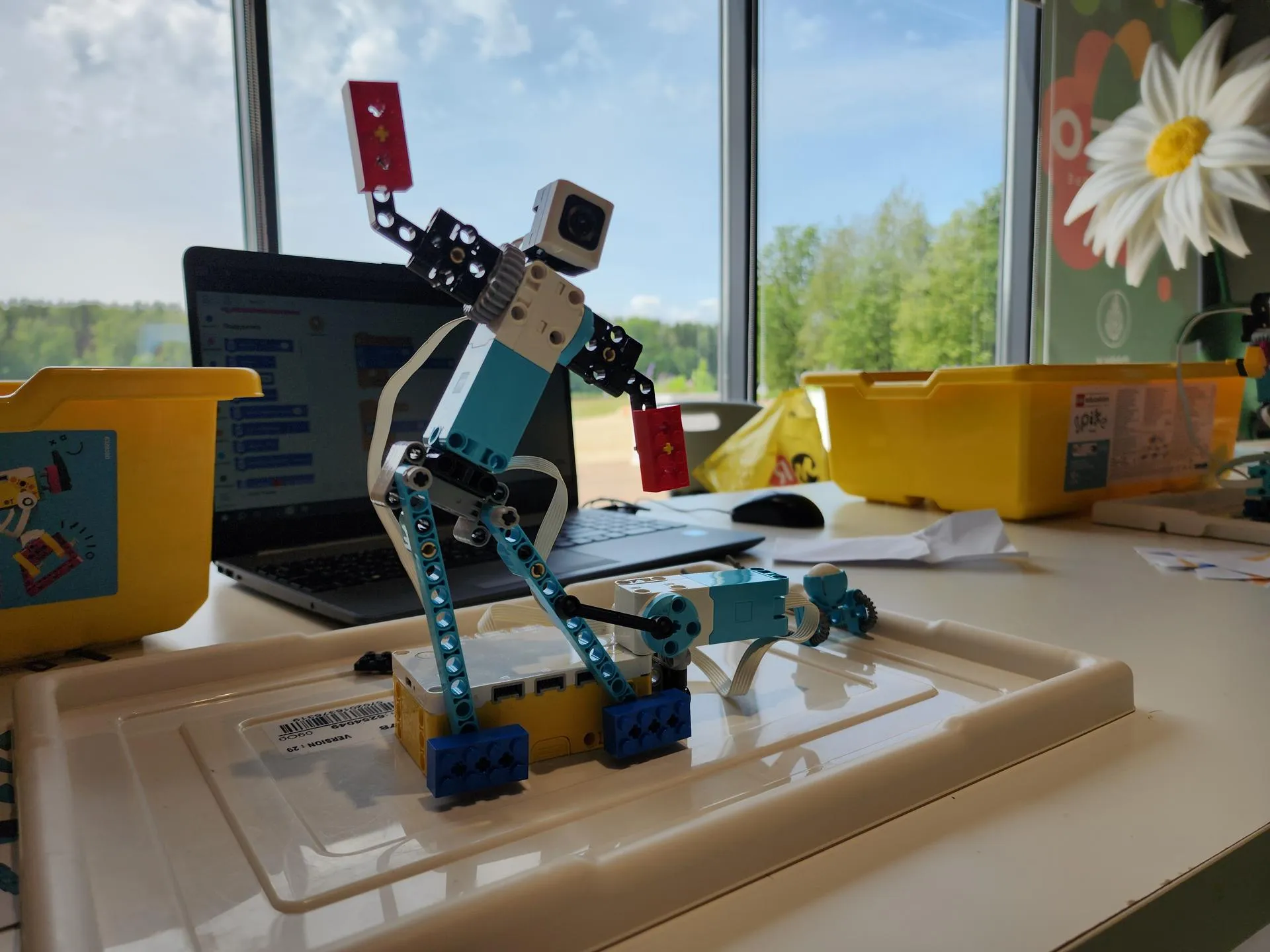 Фото: Нина Басистая