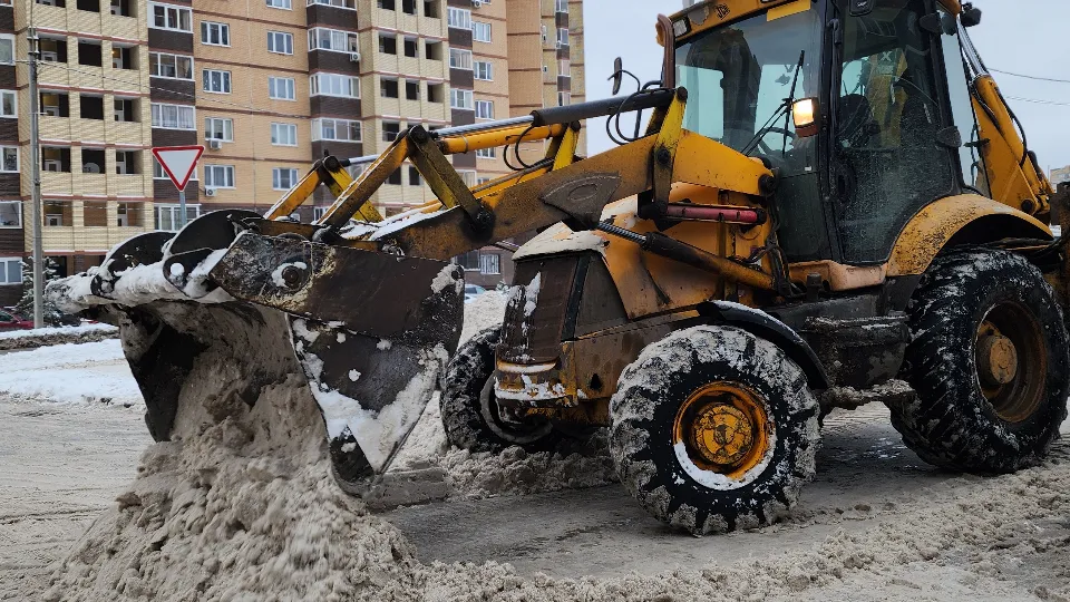 Фото: МедиаБанк Подмосковья/Валерия Тингаева