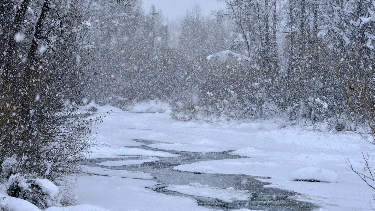 фото:.freepik.com