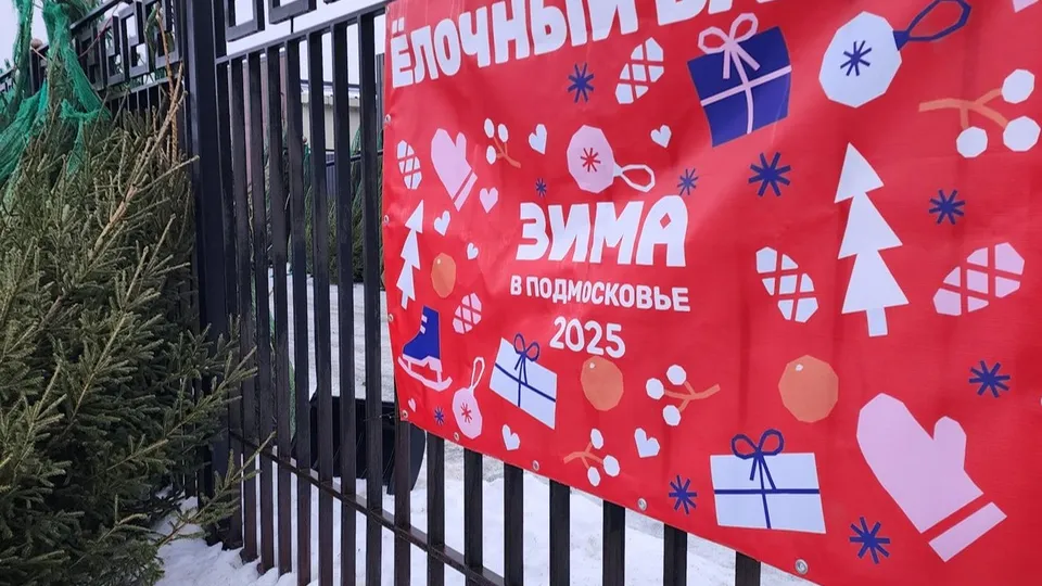 Фото: Ольга Антонова