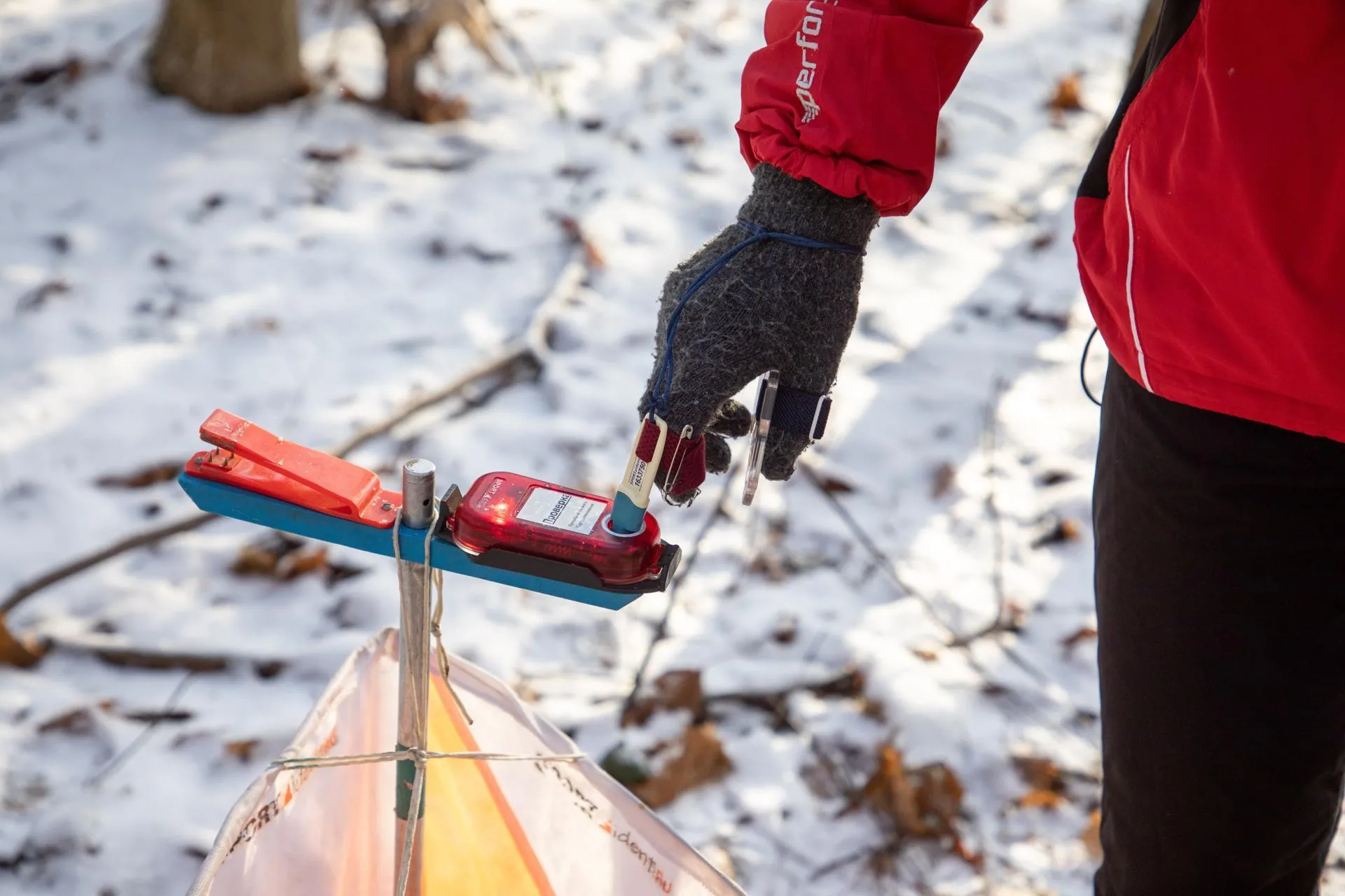 Антон Шаманин