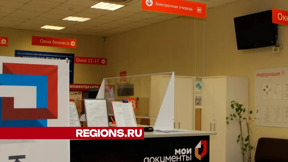 Фото: REGIONS/Василий Тремасов