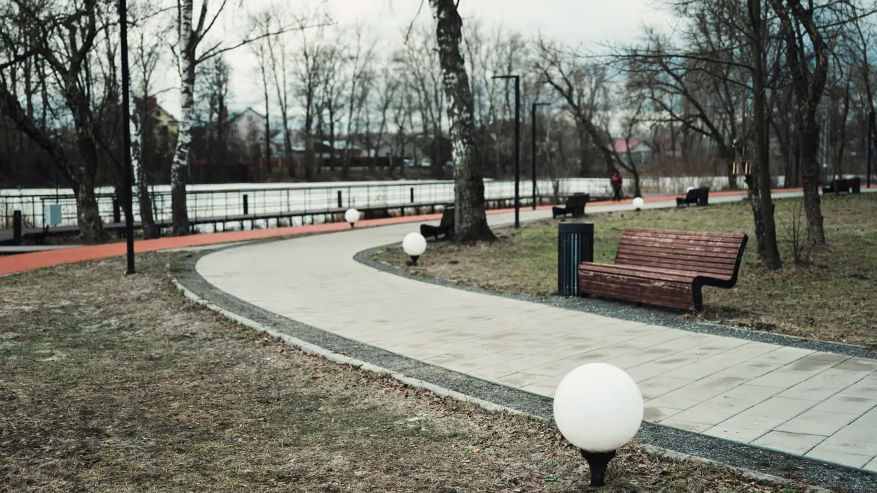 Фото: пресс-служба администрации г.о. Лосино-Петровский