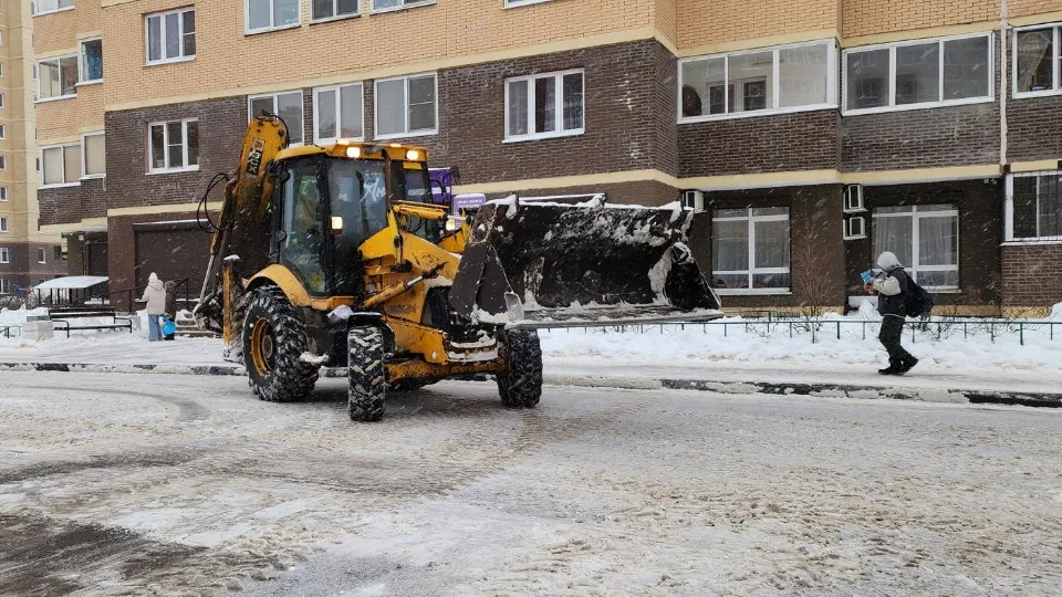 Фото: МедиаБанк Подмосковья/Валерия Тингаева