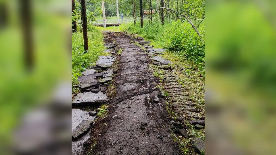 Фото: t.me/Gastilo_1957