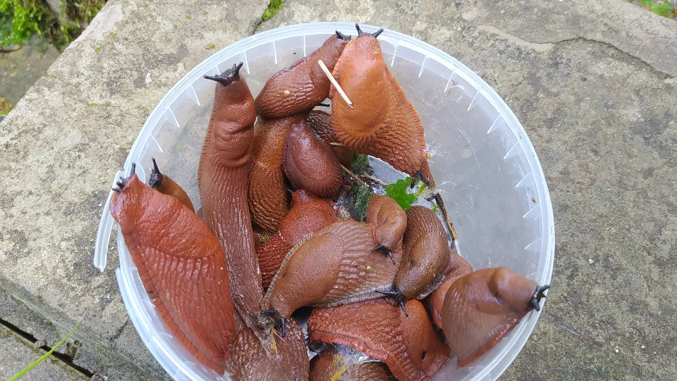 Фото: МедиаБанк Подмосковья/Владимир Киселев