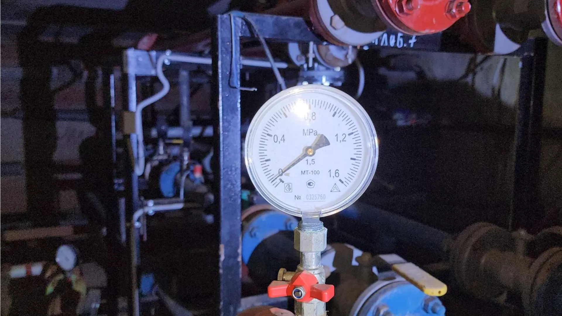 Фото: Иван Дубров