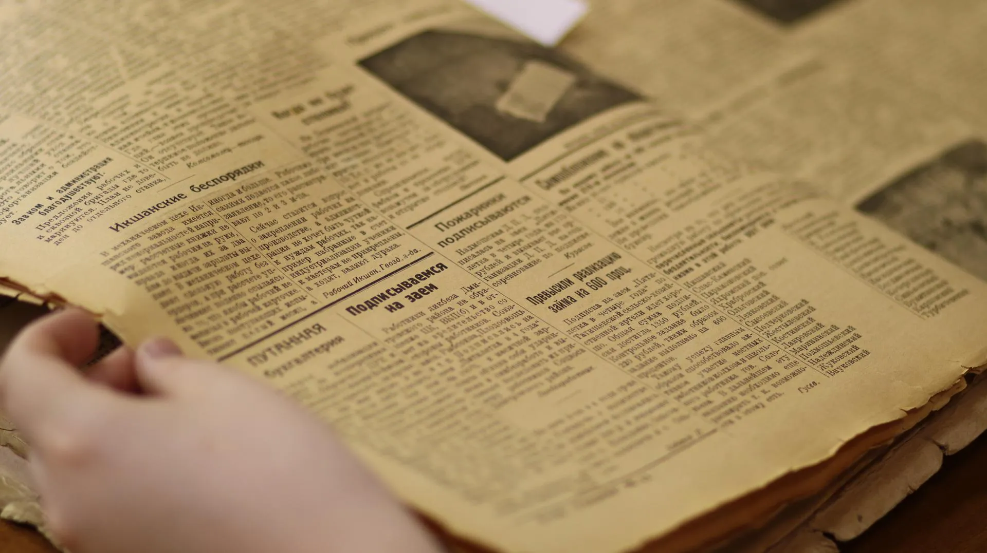 Фото: семейный центр «Дмитровский»