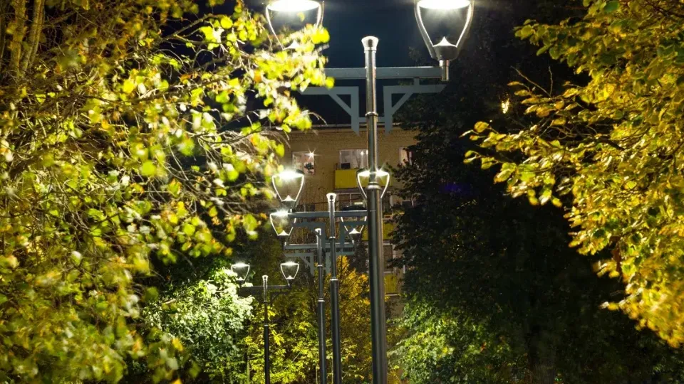 Фото: Министерство благоустройства Московской области