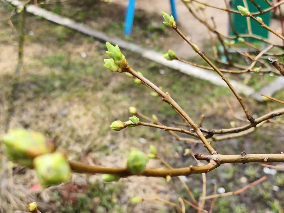 Фото: Наталия Надточая&nbsp;