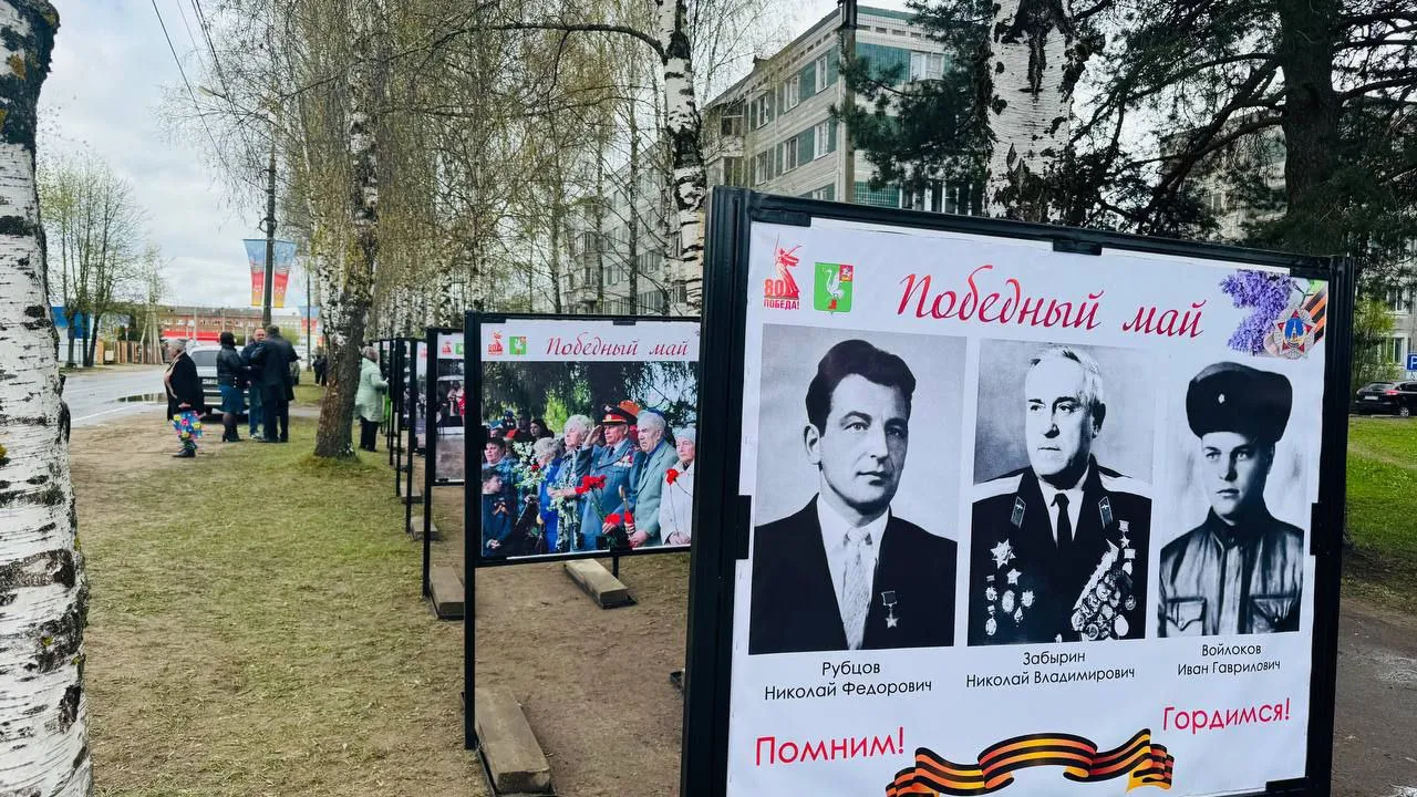 Фото: t.me/ParkVerbilki