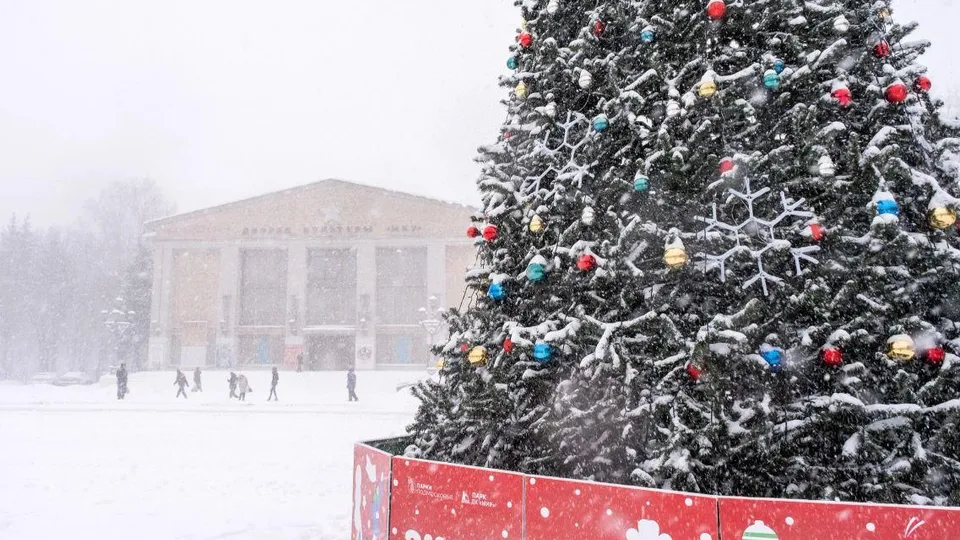 Фото: пресс-служба администрации г.о. Лыткарино