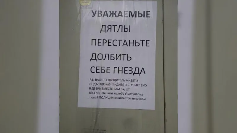 «Уважаемые дятлы»: житель Химок составил смешное обращение к соседям
