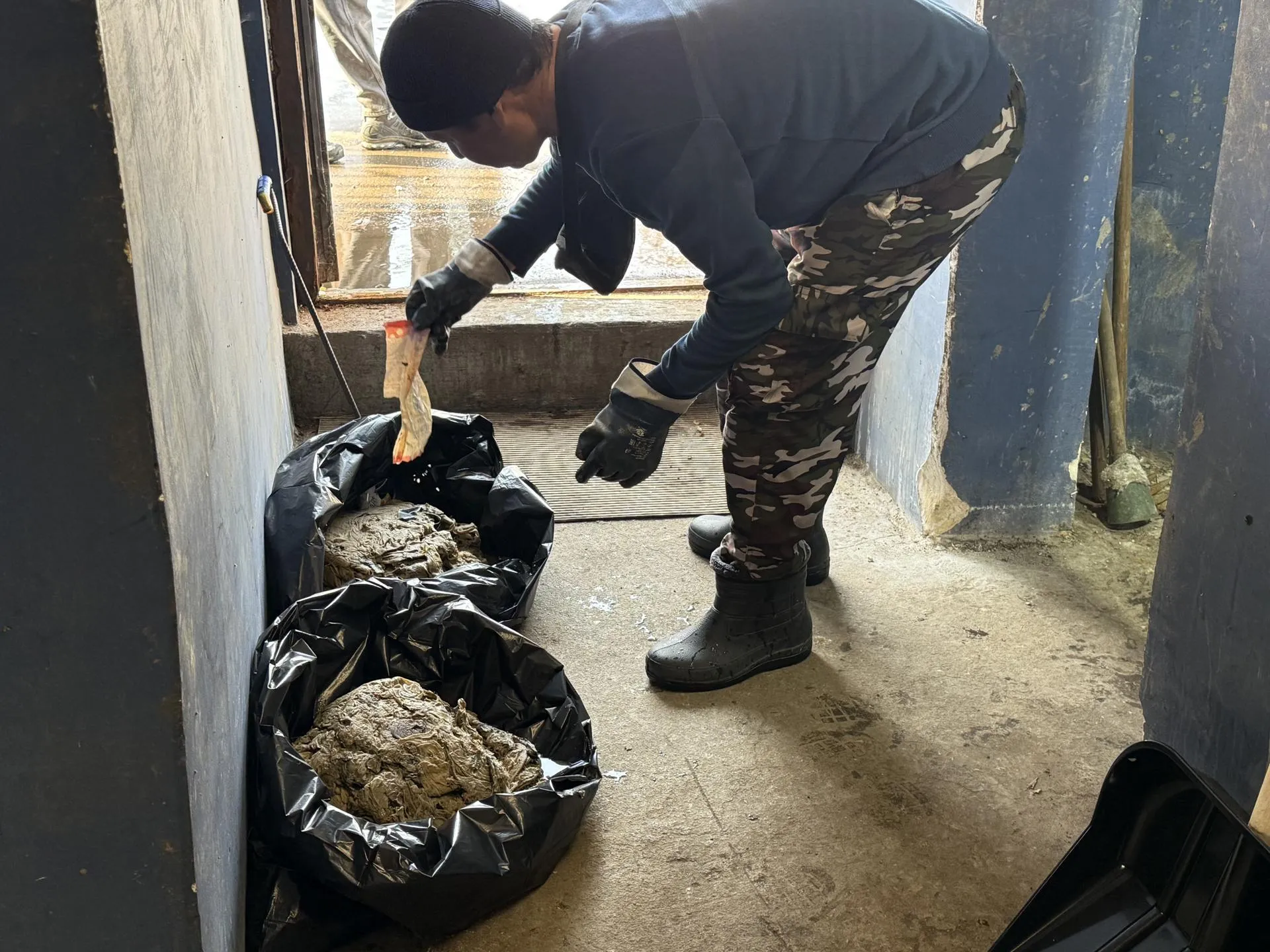 МедиаБанк Подмосковья/Анна Дука