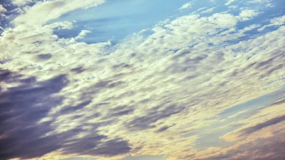 Фото: REGIONS/Владимир Ерастов