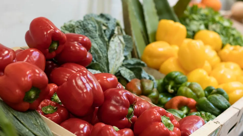 Фото: freepik.com