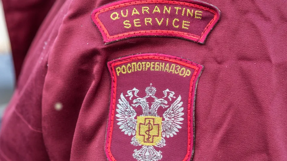 Фото: РИА Новости/Илья Тимин