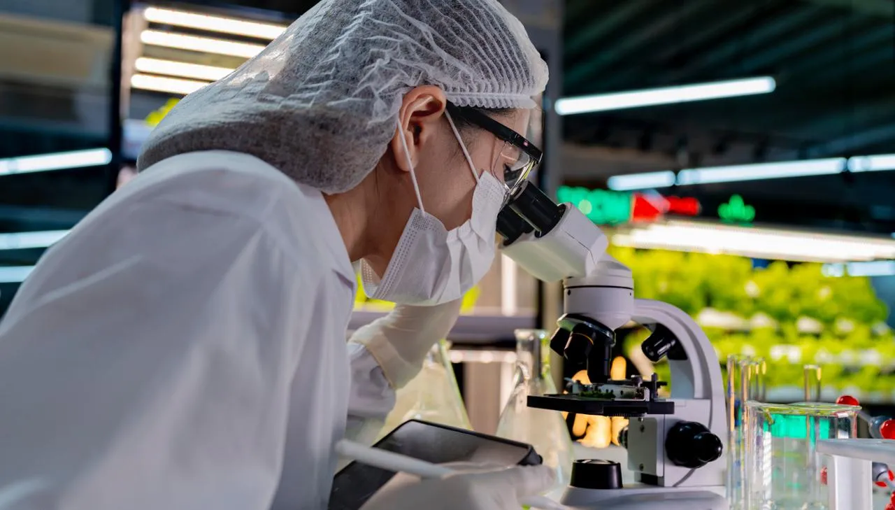 istockphoto.com/ultramansk