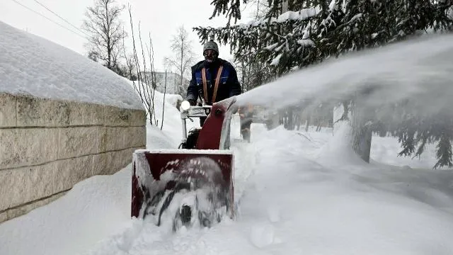 REGIONS/Яна Шаливская