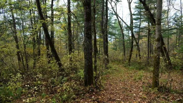 Игорь Онучин /  РИА Новости