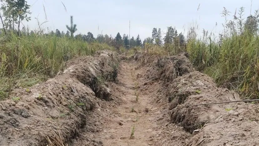 Россети Центр