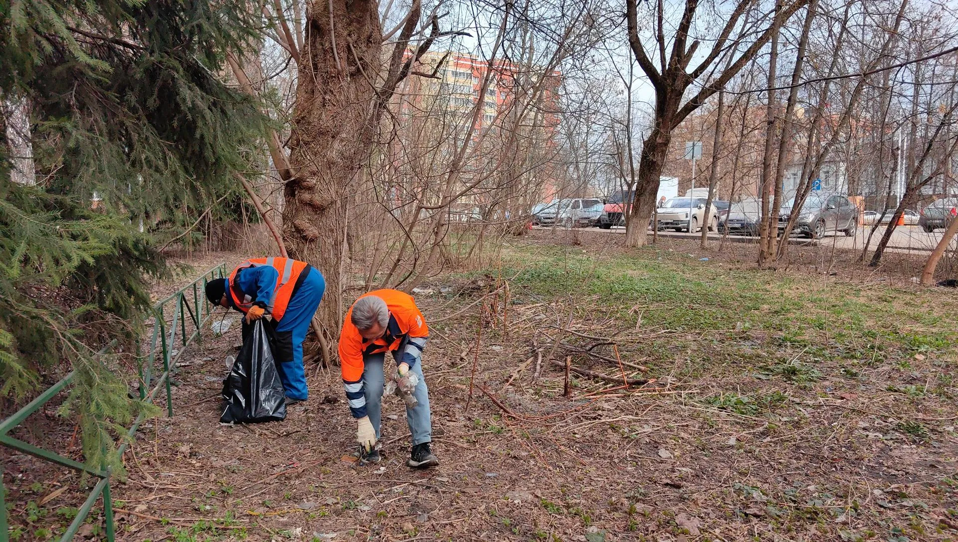 Елена Катасонова
