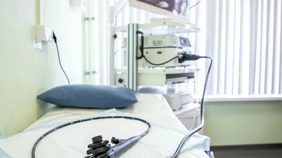 Фото: REGIONS/Наталия Надточая