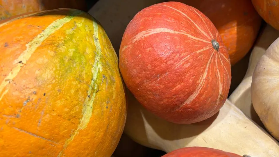 Фото: Алена Мельникова