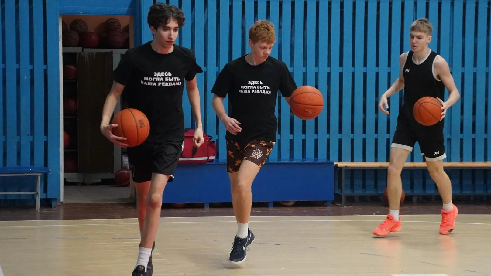 Алёна Притула